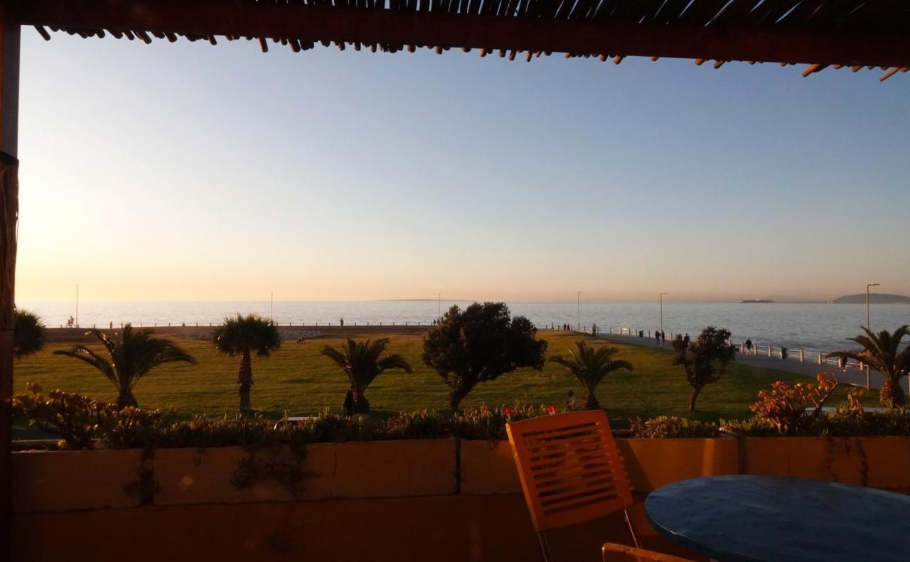 Dolphin Inn Guesthouse Kapsztad Zewnętrze zdjęcie